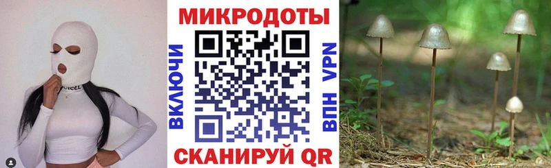 Галлюциногенные грибы GOLDEN TEACHER  гидра сайт  Усть-Катав  наркота 
